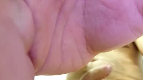 raidehot online show from 10.21.25