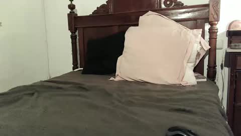 Snapshot of ranthanplan46 chatting on 12.15.24 Ran online show from 12.15.24