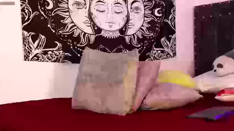 Raven online show from 03.13.26