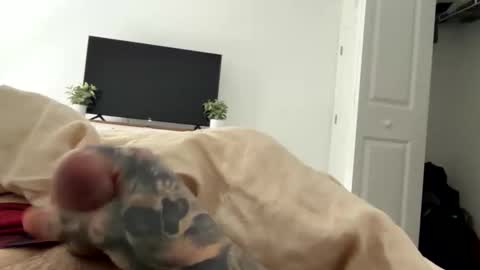 Snapshot of raws33x chatting on 02.03.26 raws33x online show from 02.03.26