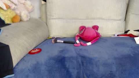 Snapshot of raycatt chatting on 01.08.26 Ray online show from 01.08.26