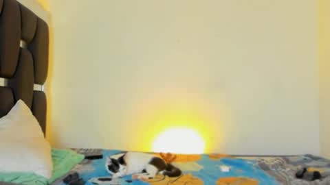 Rayn online show from 11.05.25