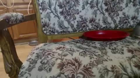 Ray online show from 02.01.26