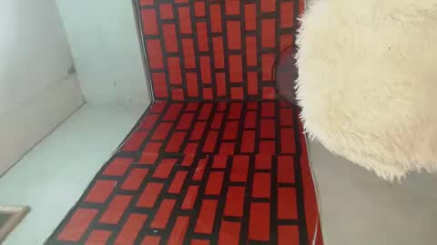 cindy online show from 12.26.24