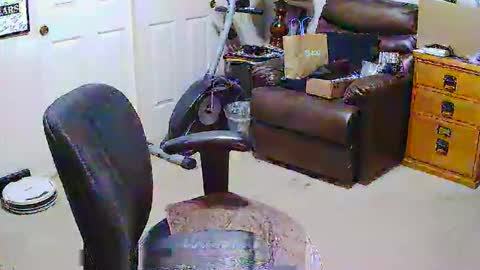 rb69er905364 online show from 03.28.26