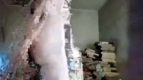 rdcervetto81 online show from 02.11.26