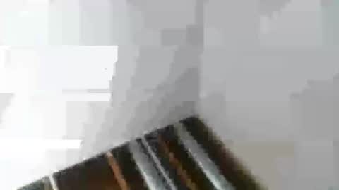 Mr Nice online show from 01.06.25
