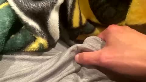 realbigload77 online show from 09.20.25