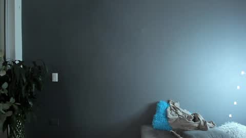 twitter REECET26 instagram RECCETAYLOR online show from 02.09.25