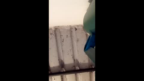 reinft online show from 03.01.26