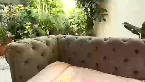 Snapshot of renata_gomez03 chatting on 09.13.25 S T A C Y online show from 09.13.25