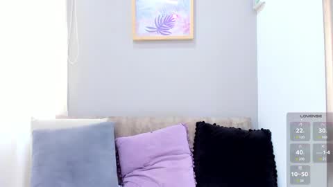      online show from 01.15.25