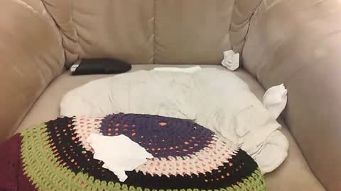 Mark online show from 04.11.26