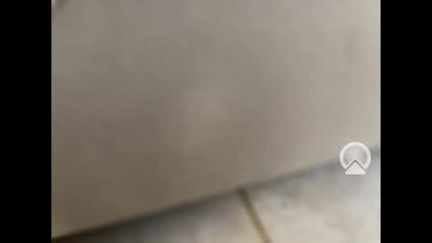 rgoggler2 online show from 01.28.25