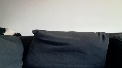 Snapshot of rhymes2479 chatting on 03.31.26 Shaved cock ready online show from 03.31.26