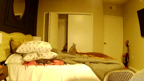 richierich813 online show from 10.03.25