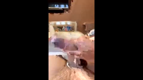 richmondal83 online show from 10.22.25