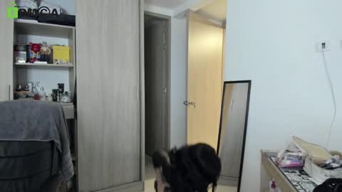 Snapshot of rickydicot_13 chatting on 09.27.25 RickyDicot 13 online show from 09.27.25