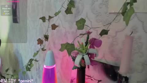 My name is Riley Like my broadcast pls 3 online show from 07.25.26