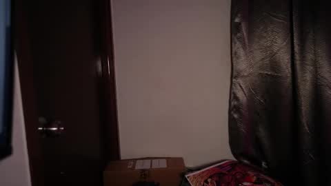 Snapshot of riniryokouwu chatting on 10.28.25    online show from 10.28.25