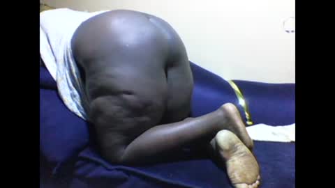 cookie online show from 01.03.25