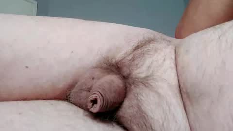 ripa35 online show from 02.17.25