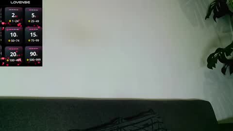 SebasRoa online show from 11.28.25