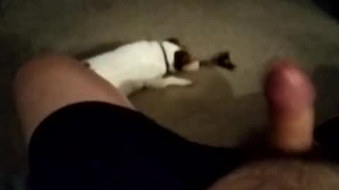 robbiebob6828 online show from 11.27.25