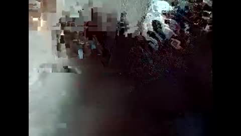 R online show from 04.30.26