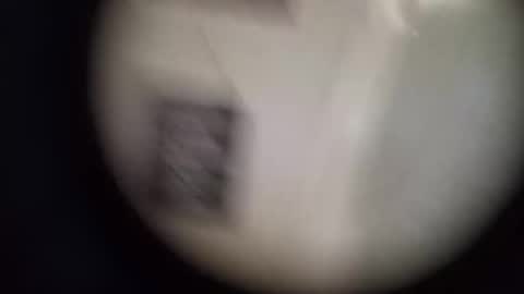 robinouhot online show from 04.12.26