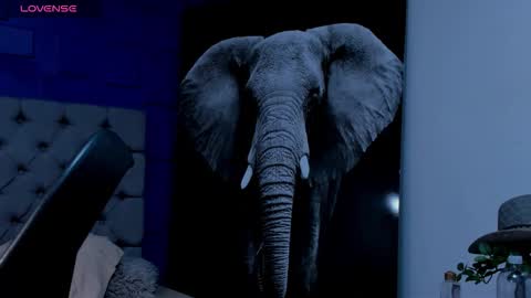 rocco_santos online show from 09.19.25