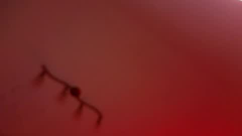 rochelle_dolly online show from 04.10.26