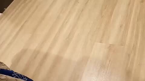 rockikoki online show from 03.16.26