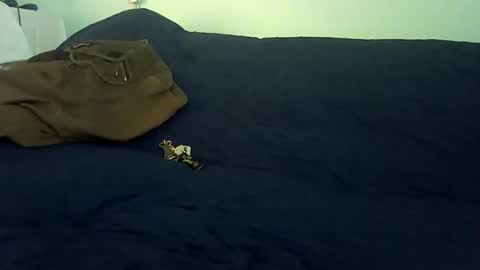 Mr. Red online show from 02.25.26