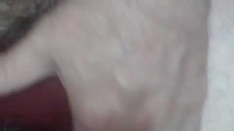 rokk_dude online show from 10.26.25