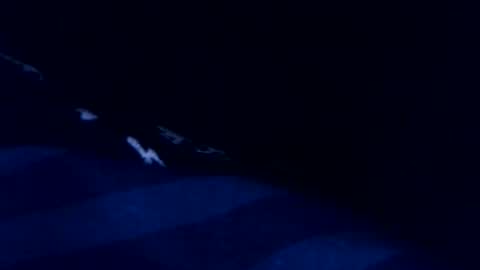 Snapshot of romain954 chatting on 03.03.26 romain online show from 03.03.26