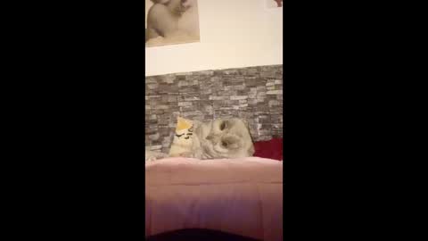 romylachienne online show from 01.18.26