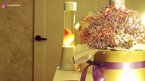 Rosalie online show from 11.16.25