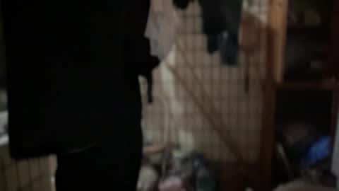 Rose and the Collector online show from 09.20.25