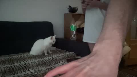 Rose and the Collector online show from 09.27.25