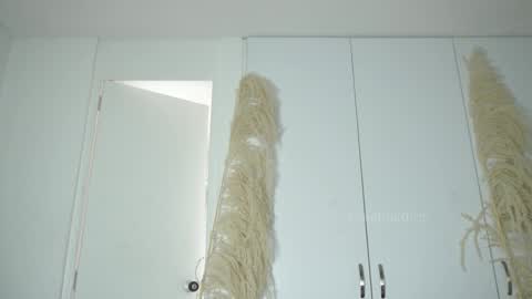 Snapshot of roselinedior chatting on 11.03.25 Lyla OF roselinedior online show from 11.03.25