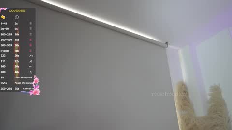 Snapshot of roselinedior chatting on 11.06.25 Lyla OF roselinedior online show from 11.06.25