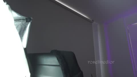 Snapshot of roselinedior chatting on 11.11.25 Lyla OF roselinedior online show from 11.11.25