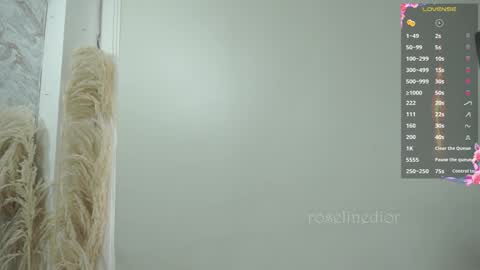 Snapshot of roselinedior chatting on 11.17.25 Lyla OF roselinedior online show from 11.17.25