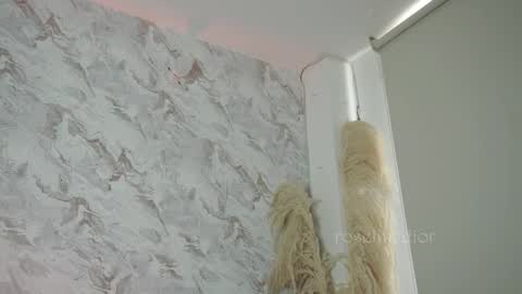 Snapshot of roselinedior chatting on 11.23.25 Lyla OF roselinedior online show from 11.23.25