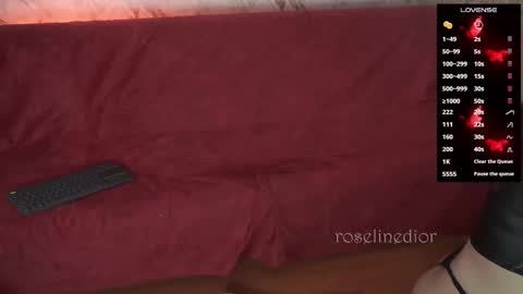 Snapshot of roselinedior chatting on 11.26.25 Lyla OF roselinedior online show from 11.26.25