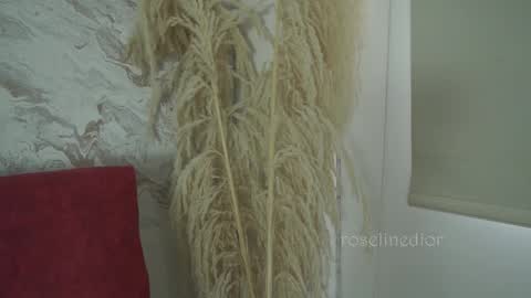 Snapshot of roselinedior chatting on 12.01.25 Lyla OF roselinedior online show from 12.01.25