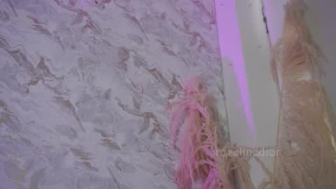 Snapshot of roselinedior chatting on 12.02.25 Lyla OF roselinedior online show from 12.02.25