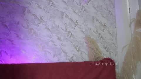 Snapshot of roselinedior chatting on 12.05.25 Lyla OF roselinedior online show from 12.05.25