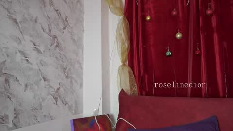 Snapshot of roselinedior chatting on 12.21.25 Lyla OF roselinedior online show from 12.21.25